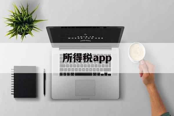 所得税app(手机下载个人所得税app)